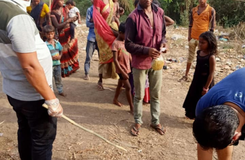 Untitled design (14)